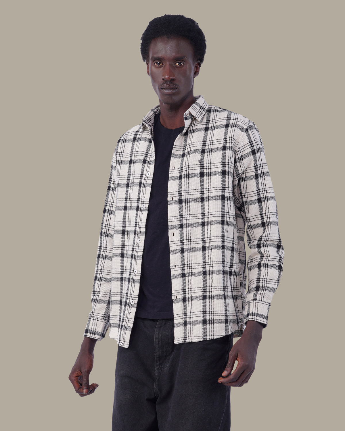 The White Check Shirt - Pure Cotton · Regular Fit