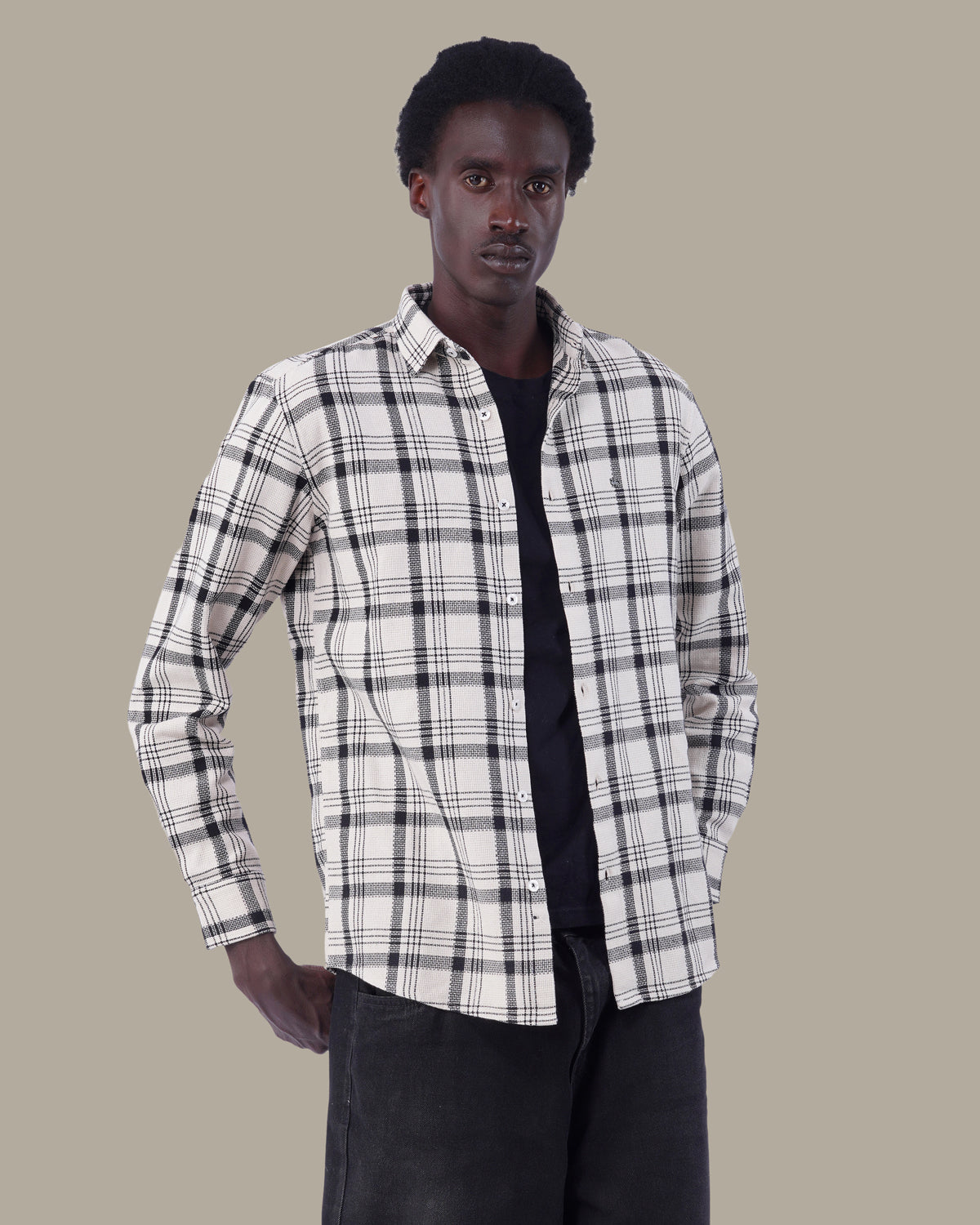 The White Check Shirt - Pure Cotton · Regular Fit