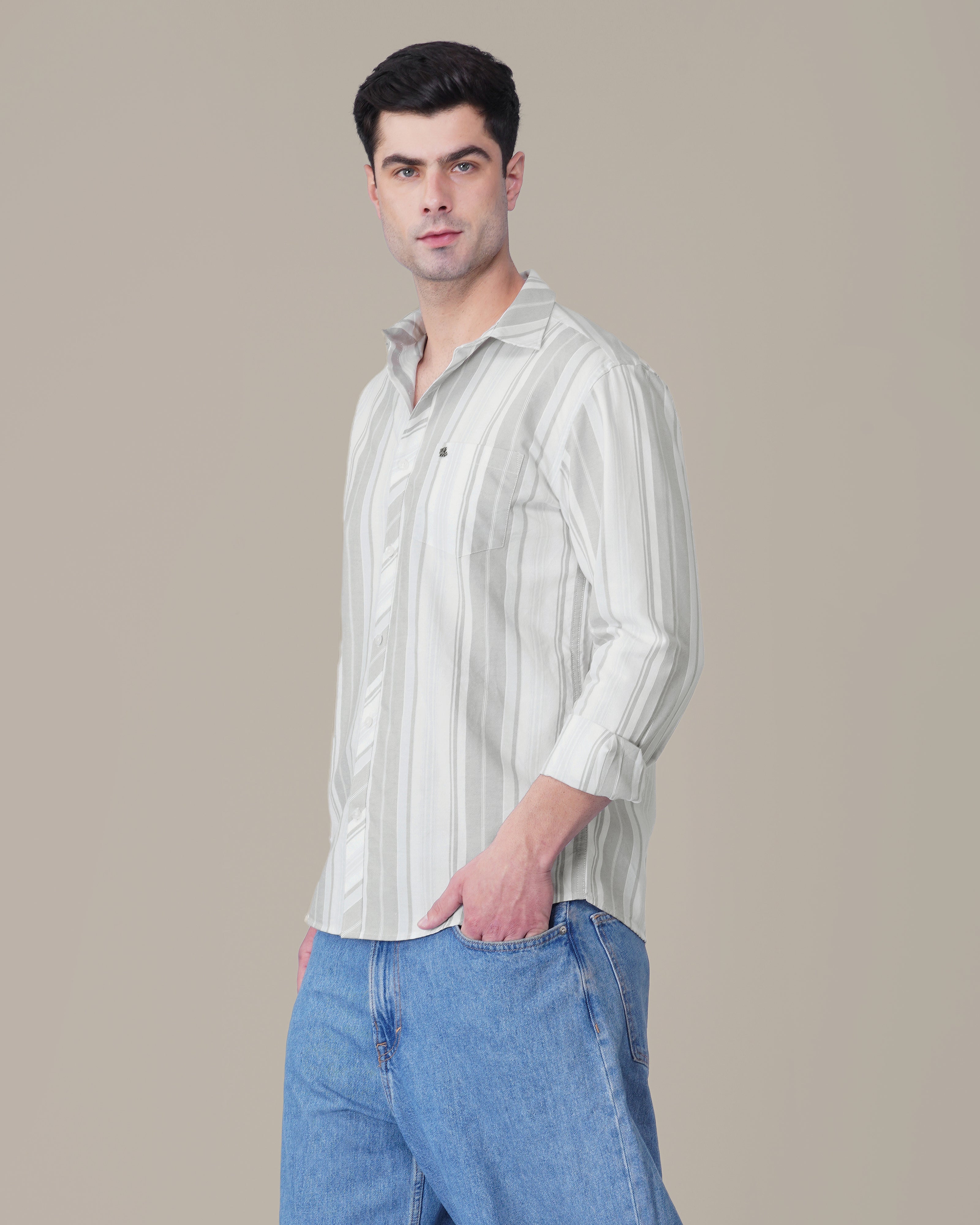 Grey Striped Oxford Regular Fit Shirt