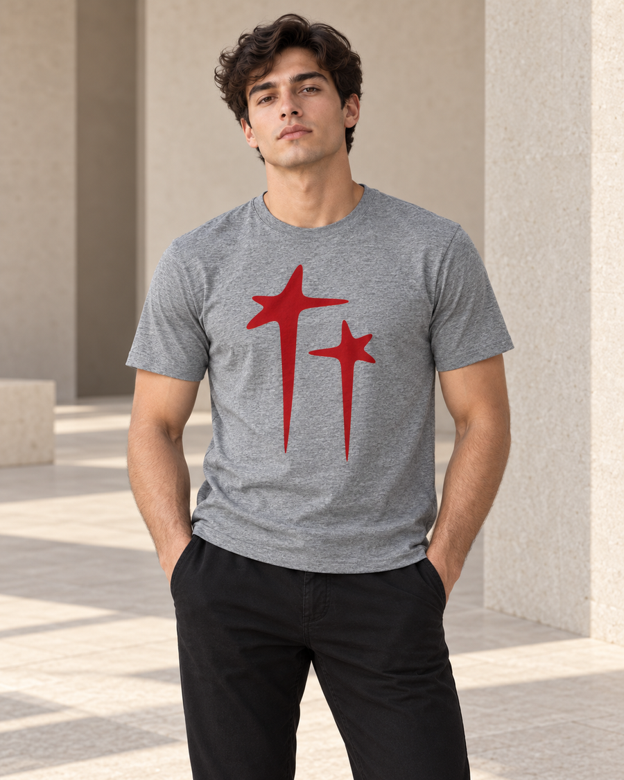 The Grey Graphic Tee - Pure Cotton · Regular Fit