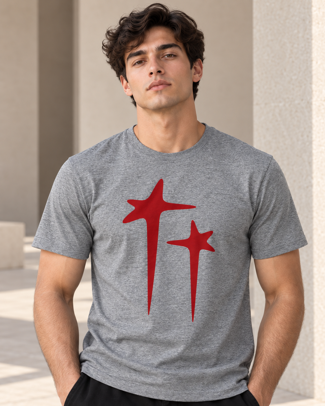 The Grey Graphic Tee - Pure Cotton · Regular Fit