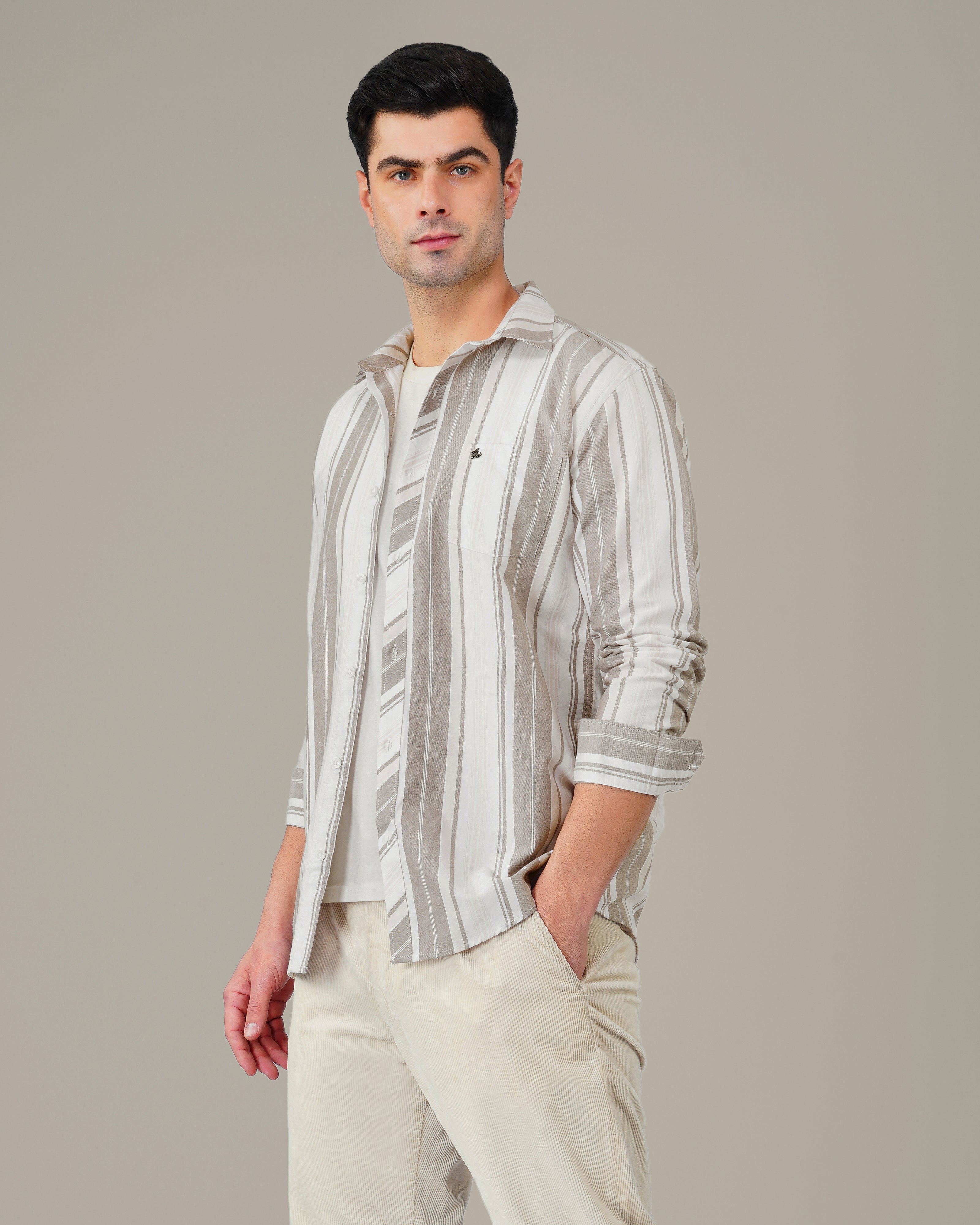 Beige and Gray Striped Oxford Shirt